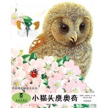 貓頭鷹價格查詢與比價攻略 從51比購返利網(wǎng)到貓頭鷹網(wǎng)絡(luò)科技